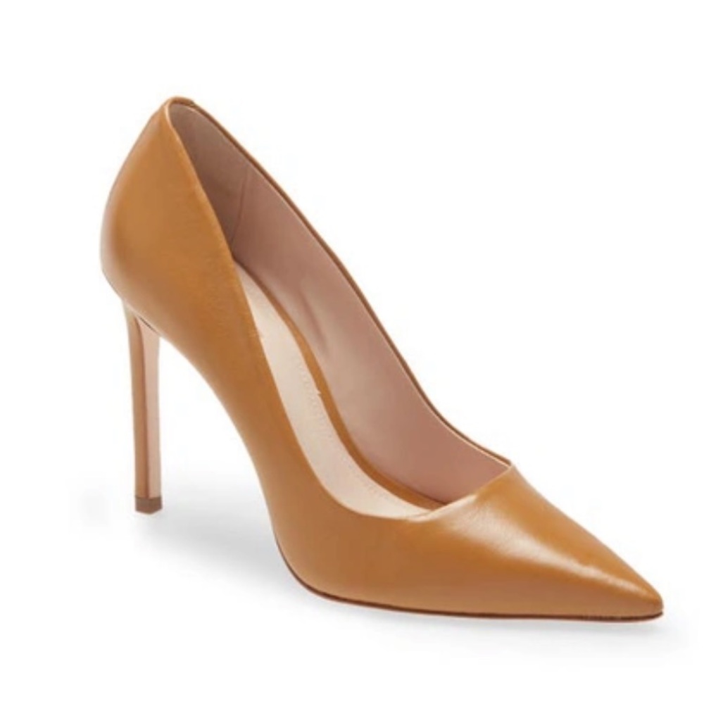 SCHUTZ Lou Pointed Toe Pump In Siena Leather